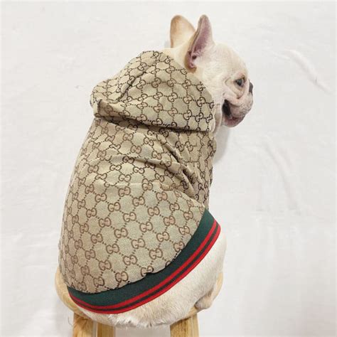 gucci jacket for dog|Altro.